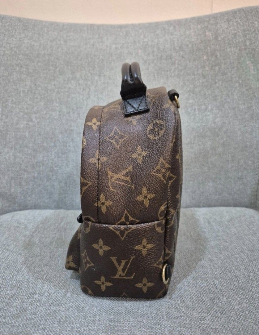 Louis Vuitton Palm Springs Mini Backpack Monogram Canvas - Image 5